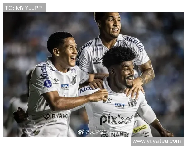 弗拉门戈对阵桑托斯精彩直播全程回顾与赛后分析