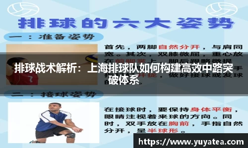 排球战术解析：上海排球队如何构建高效中路突破体系