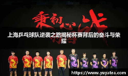 上海乒乓球队逆袭之路揭秘杯赛背后的奋斗与荣耀