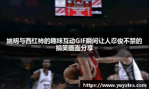 星空综合(中国)官方网站