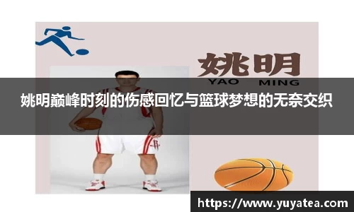 星空综合体育官网