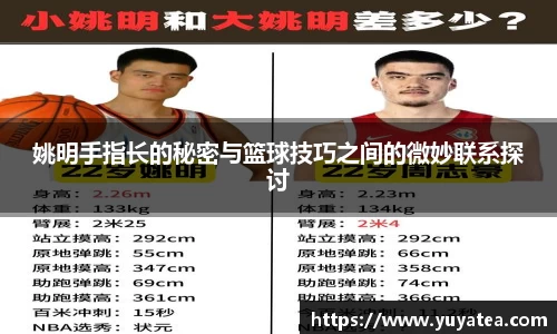 星空综合(中国)官方网站