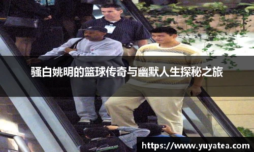 骚白姚明的篮球传奇与幽默人生探秘之旅