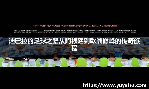 星空综合官网
