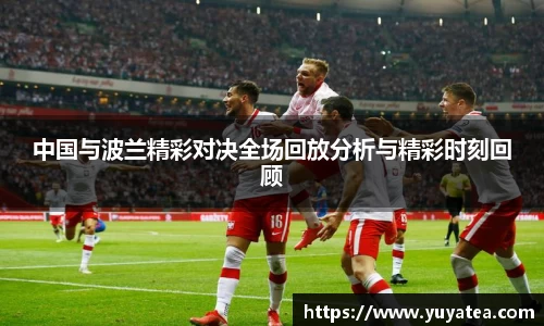 星空综合官网